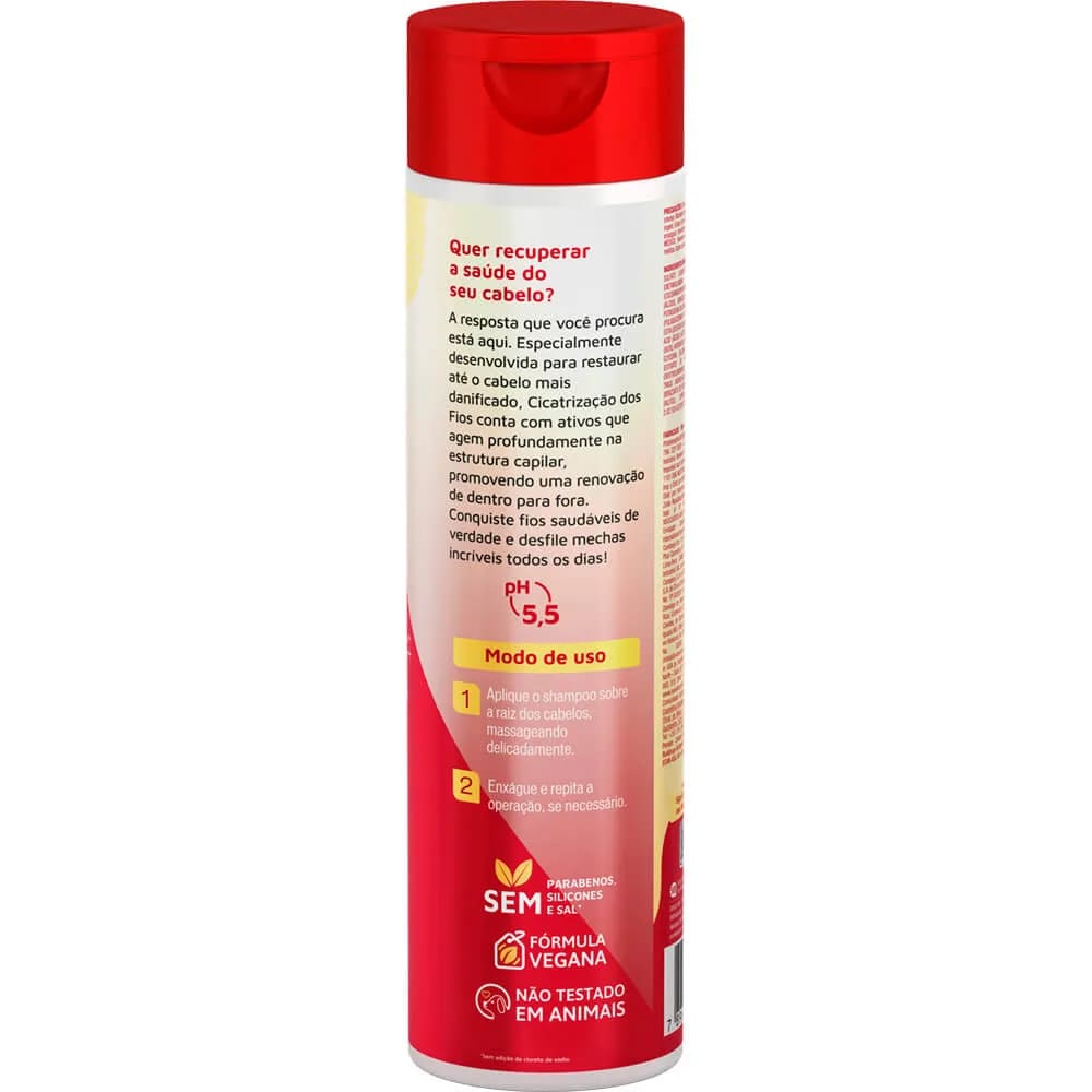 Shampoo Cicatrizante Novex Cicatrização dos Fios